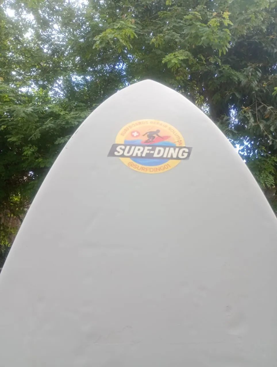 Prancha de Surf64314495404163122