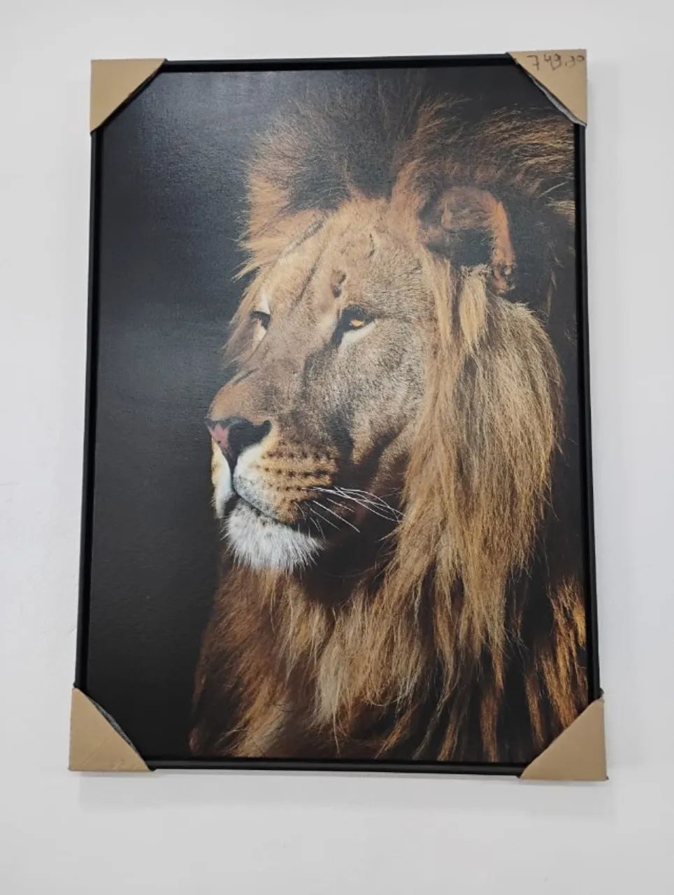 Quadro Decorativo De Leão