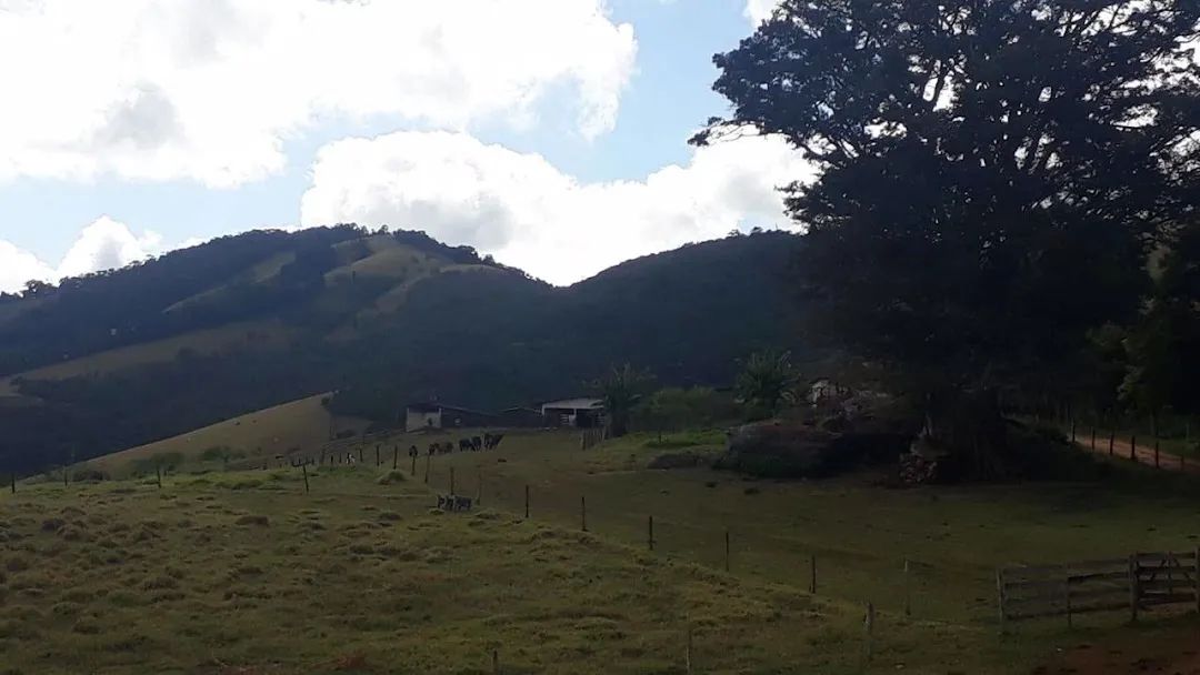 Fazenda de 505 hectares com curral completo e várias nascentes em Aiuruoca - MG. - Foto 5