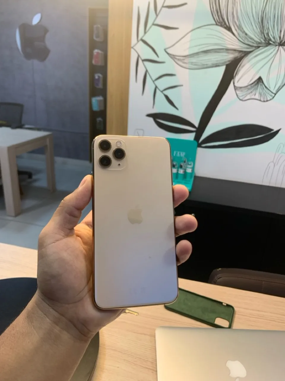11 pro max 256 sem Face ID