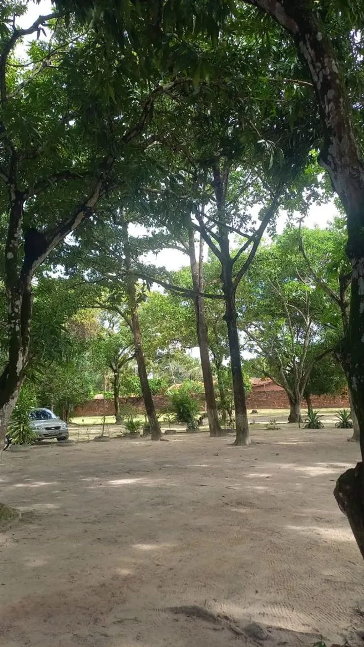 Chácara Ebenezer  - Foto 5