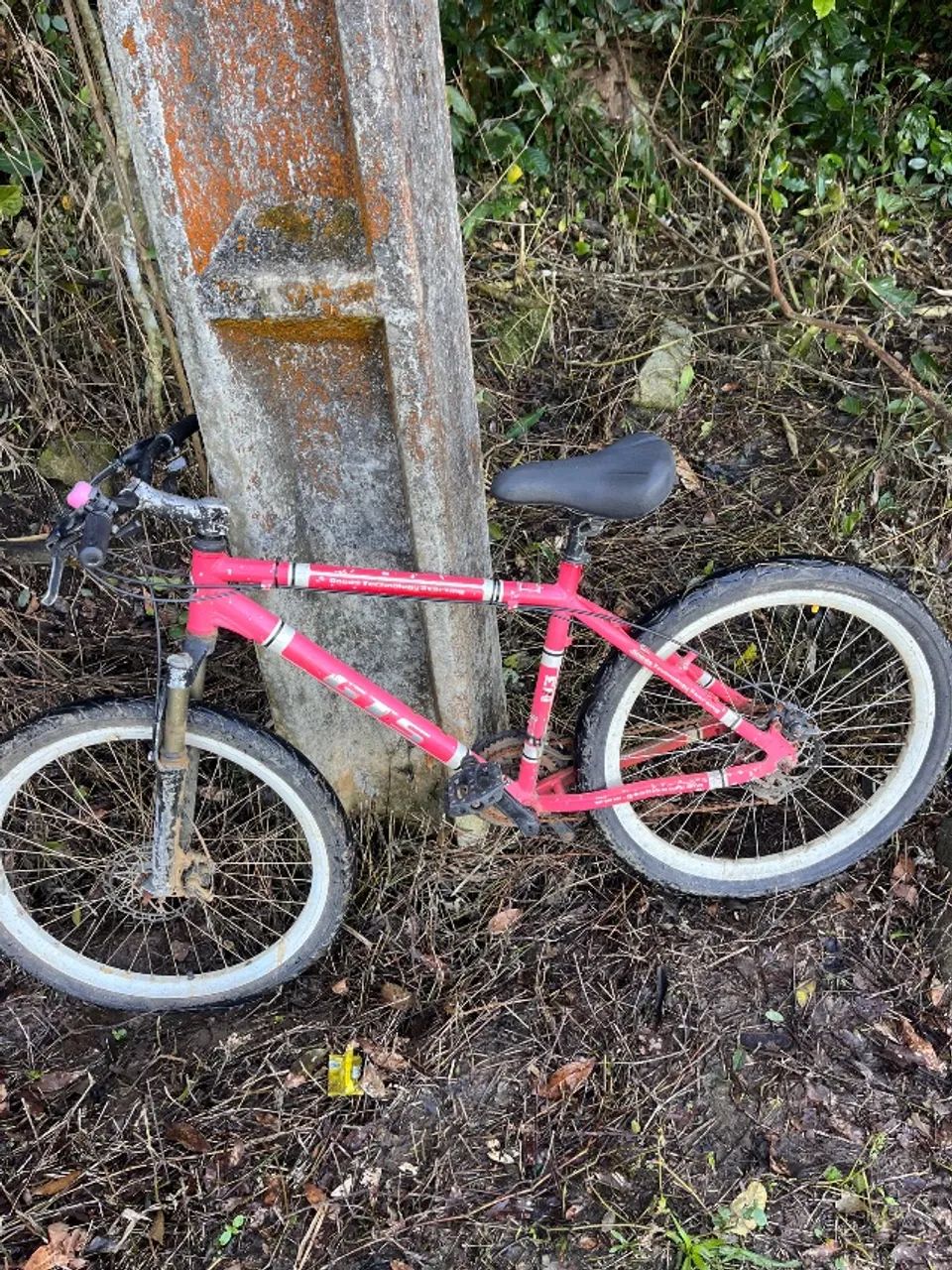 Bicicleta - Foto 2