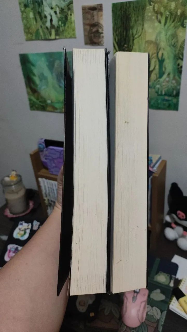 Livros Herdeiro de Sevenwaters e Vidente de Sevenwaters - Foto 3