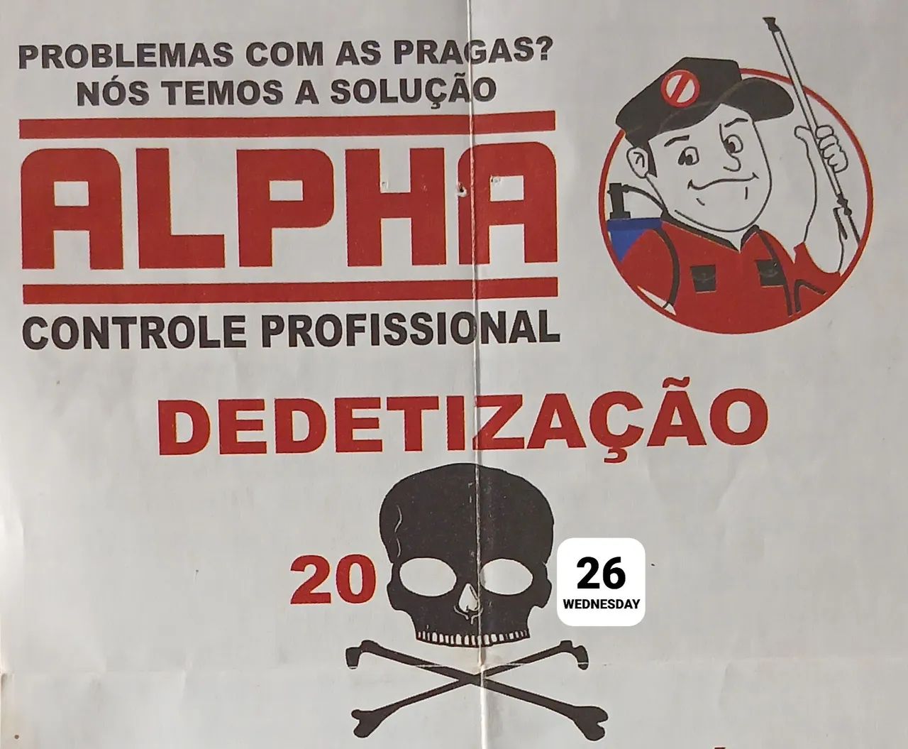 DEDETIZAÇAO 