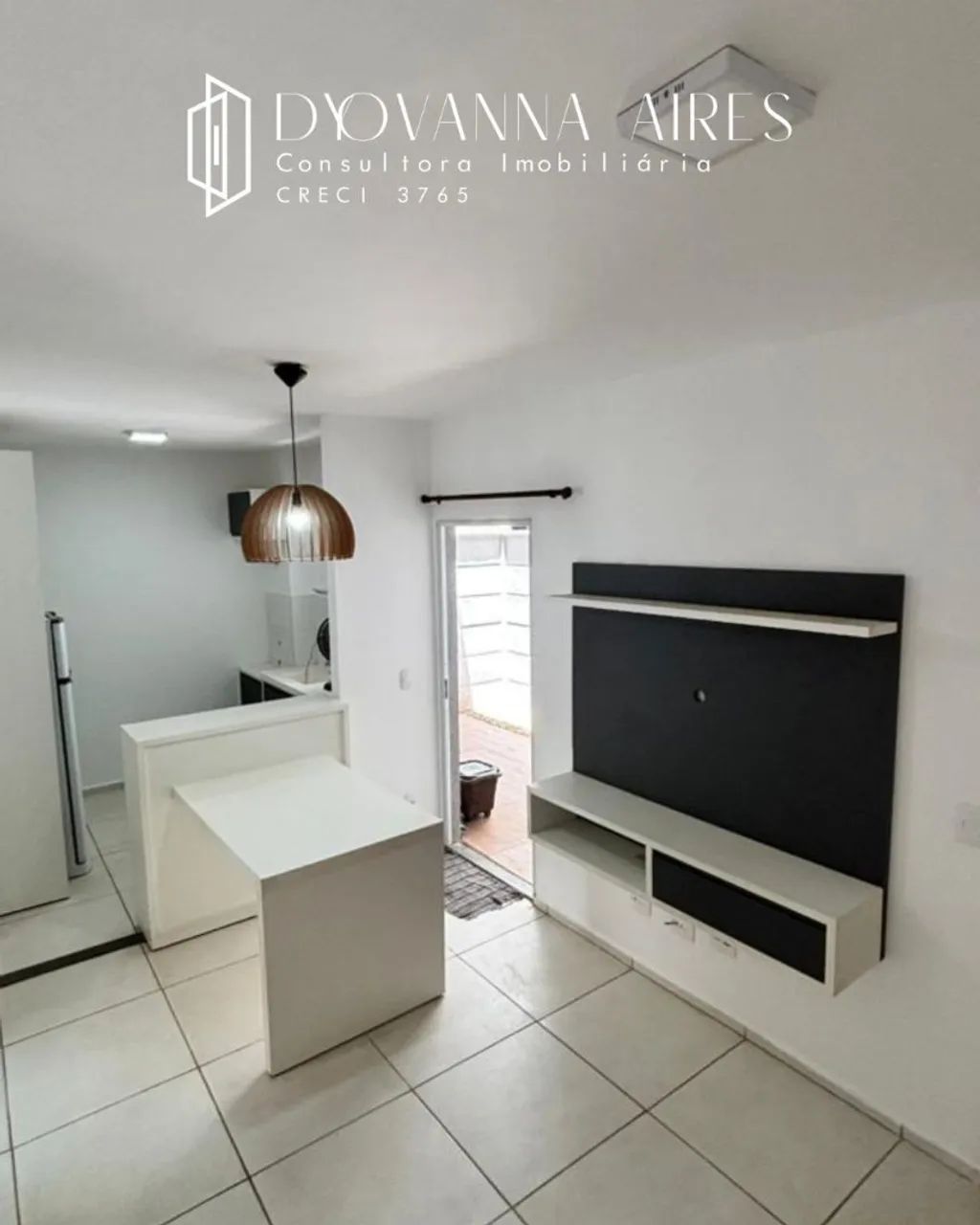 Palmeira Monarca - Atrás da Ulbra