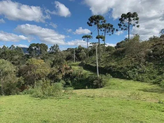 ÁREA RURAL À VENDA - Foto 3
