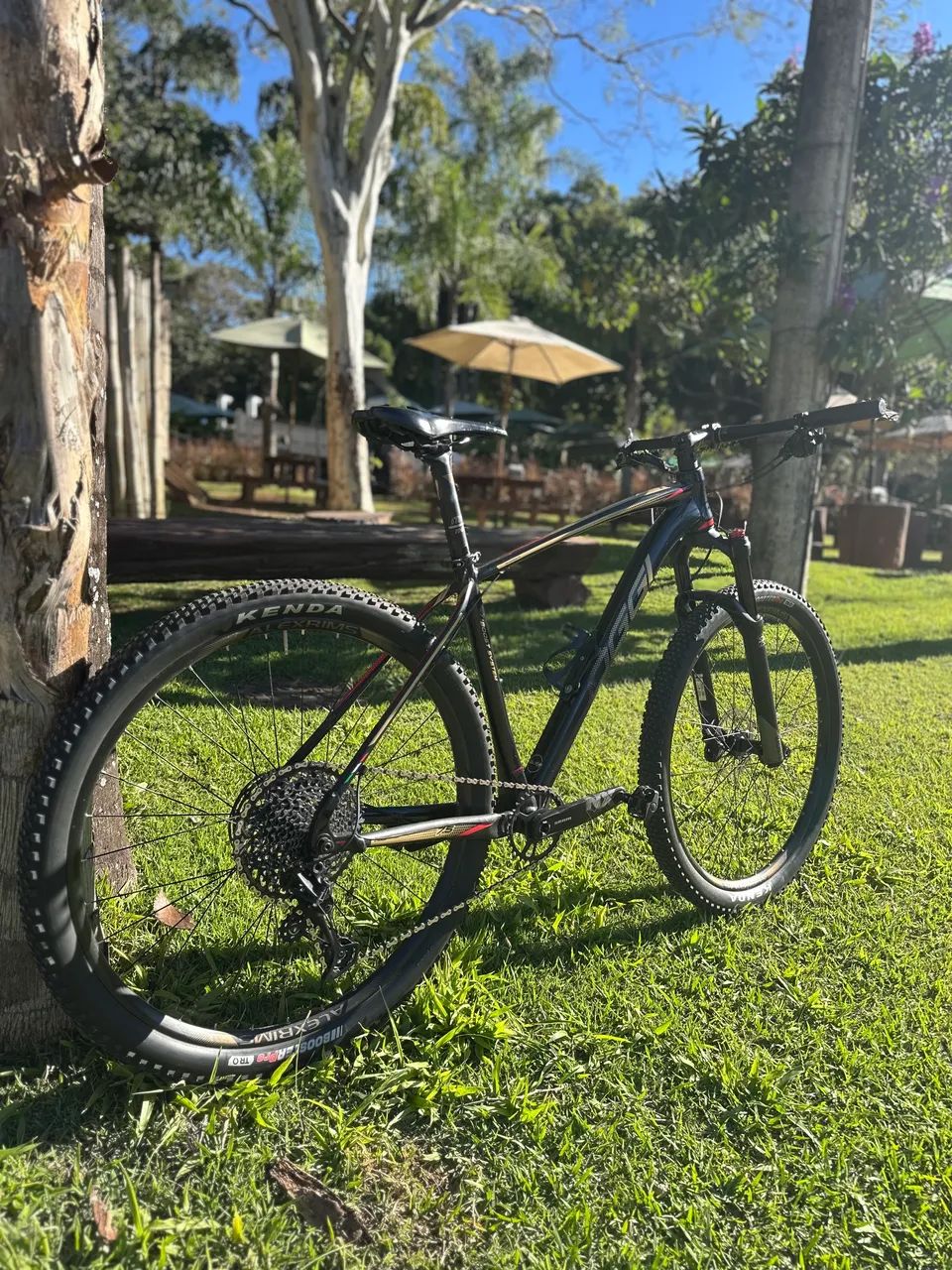 Bicicleta Oggi 7.5 - Foto 2