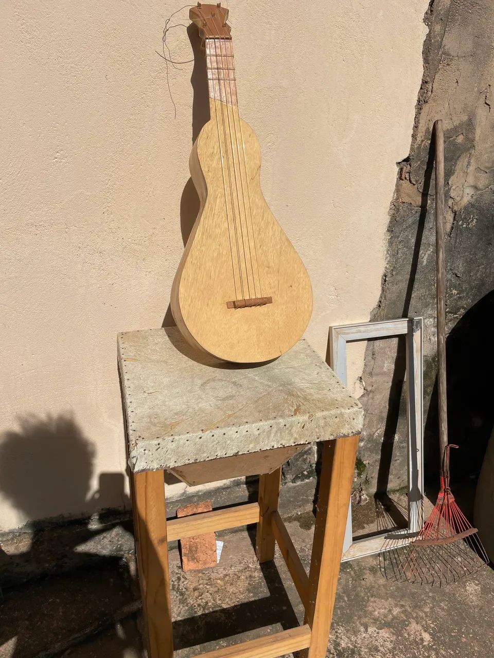 Viola de cocho mocho e ganzá 