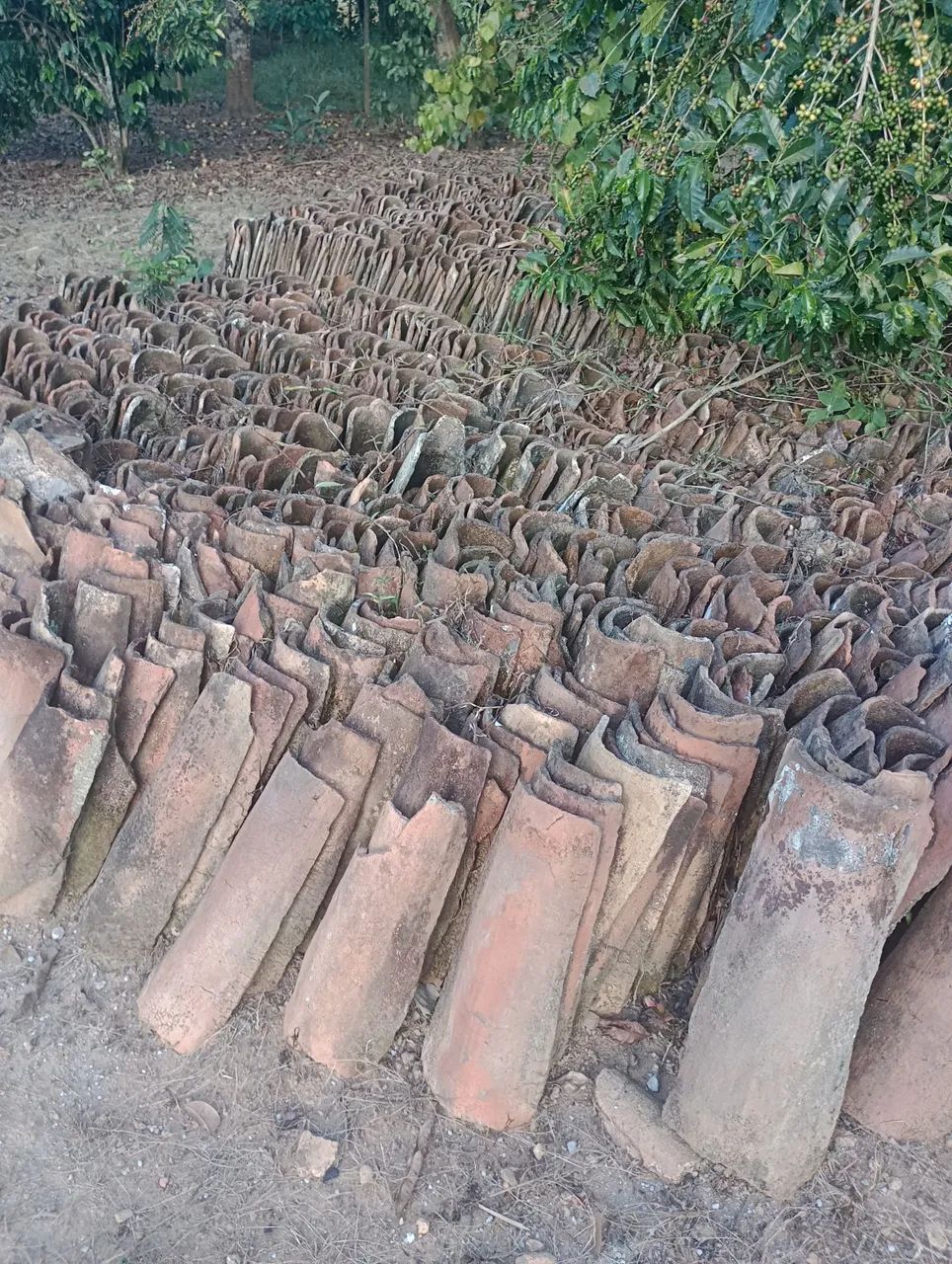 Telhas de barro antigas  - Foto 5