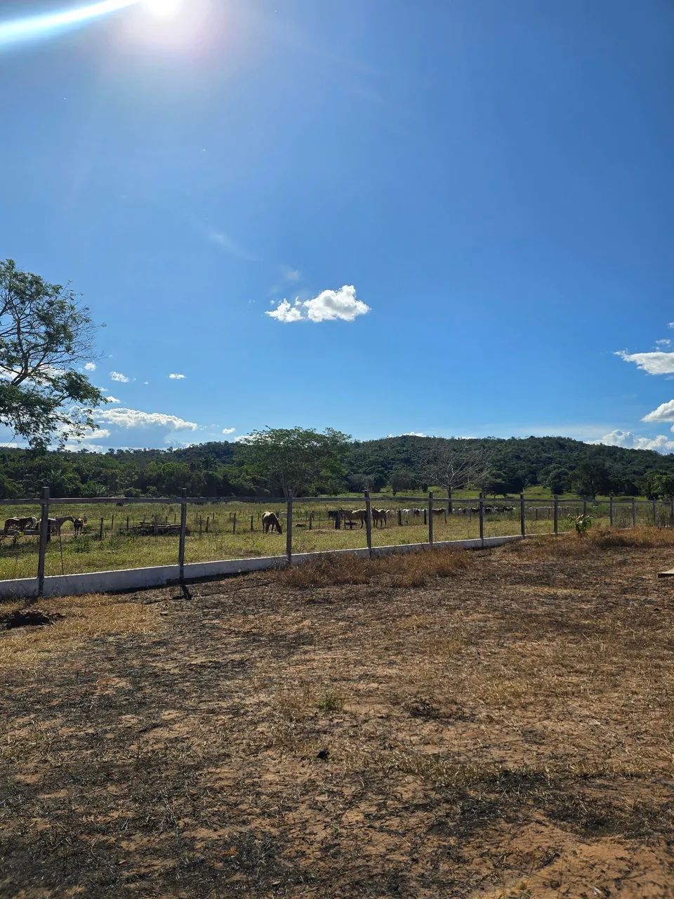 Fazenda em dom aquino Mt - Foto 2