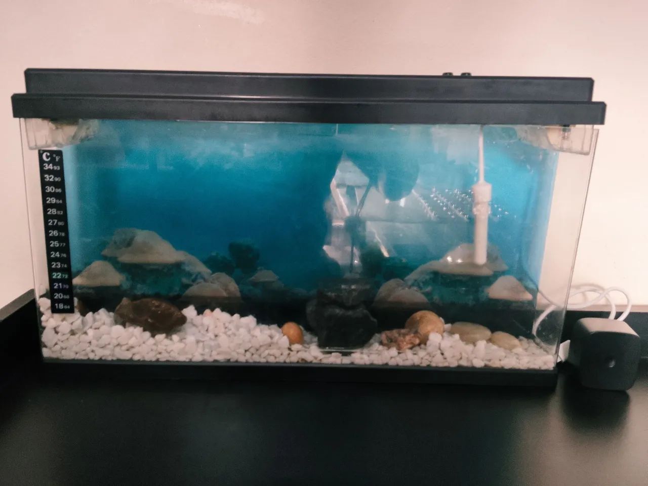 Aquário para peixe beta com termostato e termômetro  - Foto 2