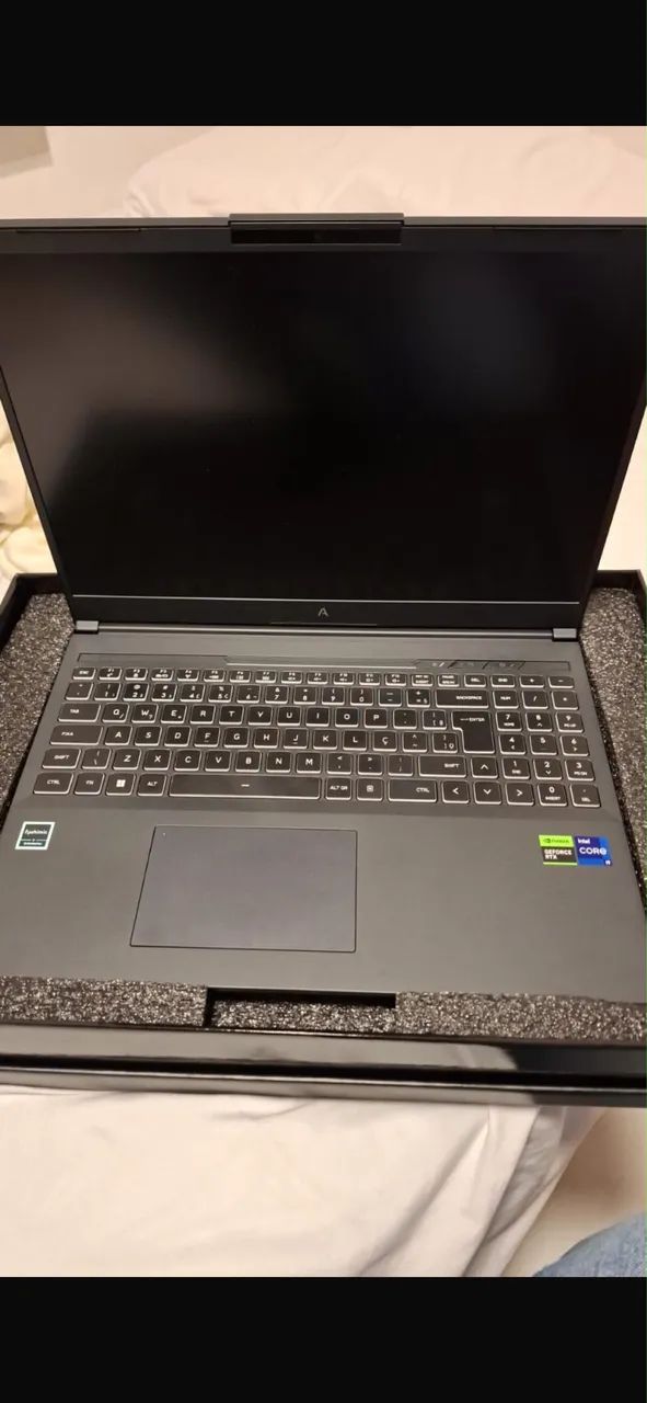 Notebook gamer I9 13900hx RTX 4060 8gb