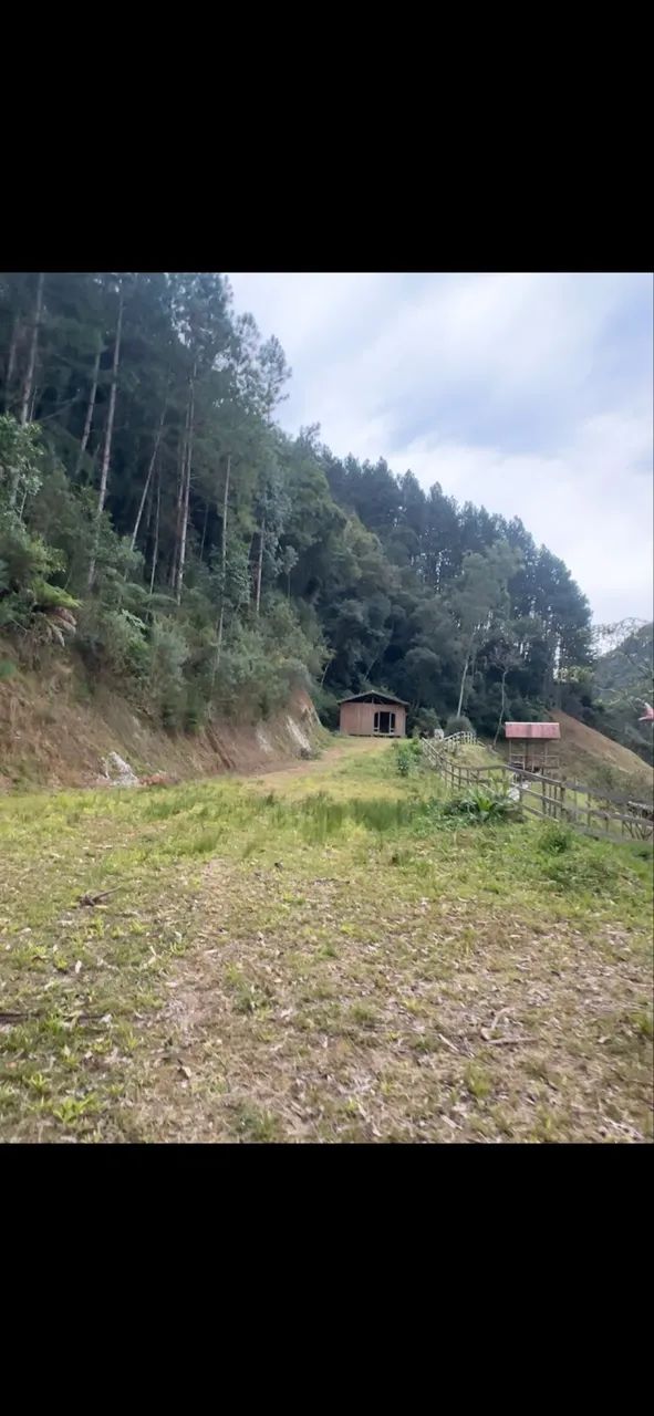 Vendo sítio em Anitapolís  - Foto 4