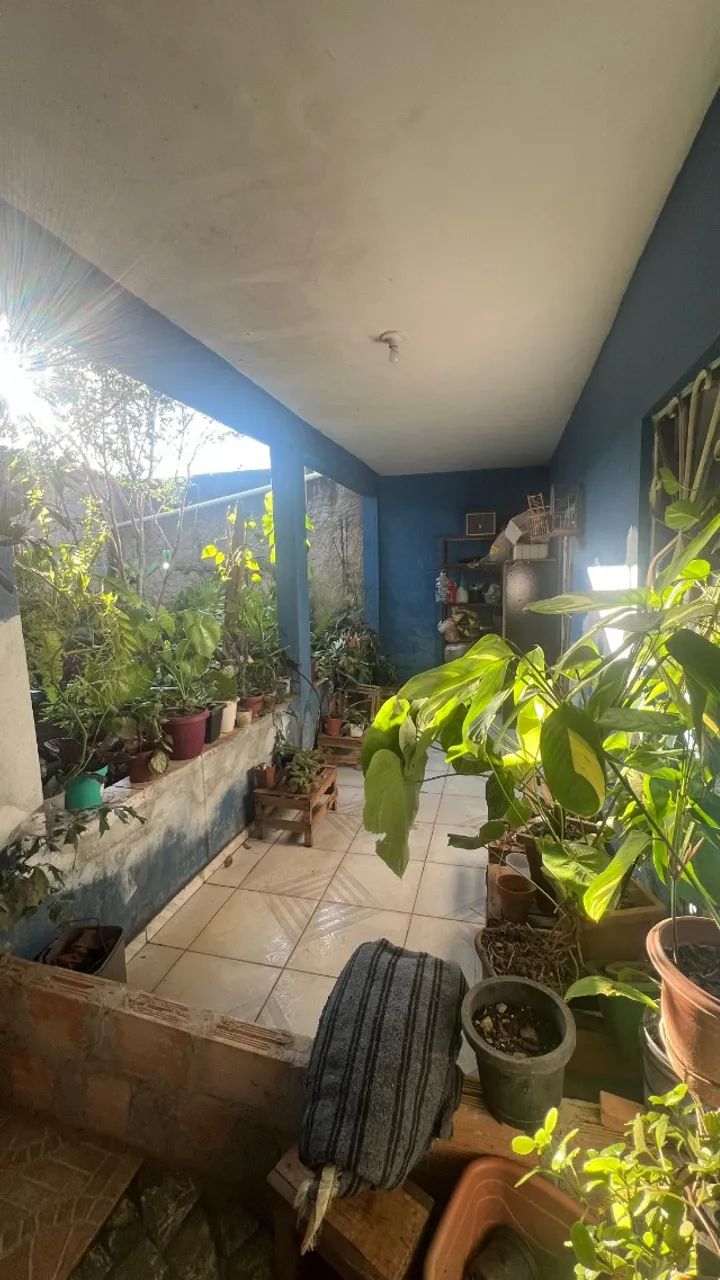 Foto - Juatuba - 