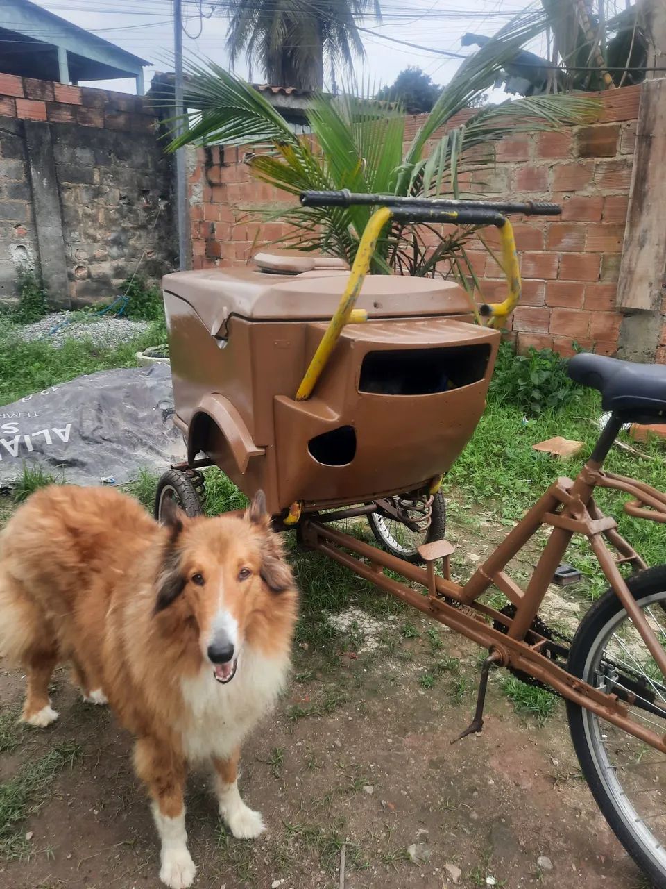 Triciclo com baú termico ( raridade ) - Foto 5