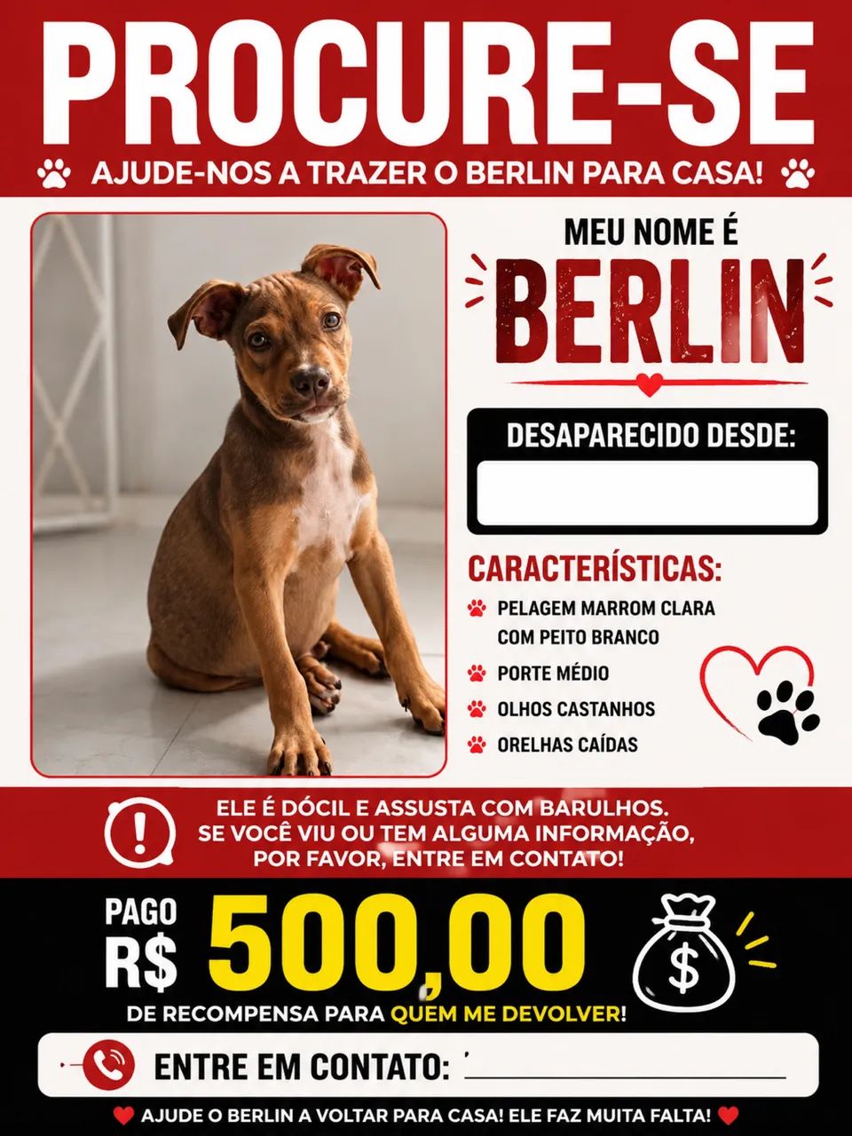 Procura-se Berlin