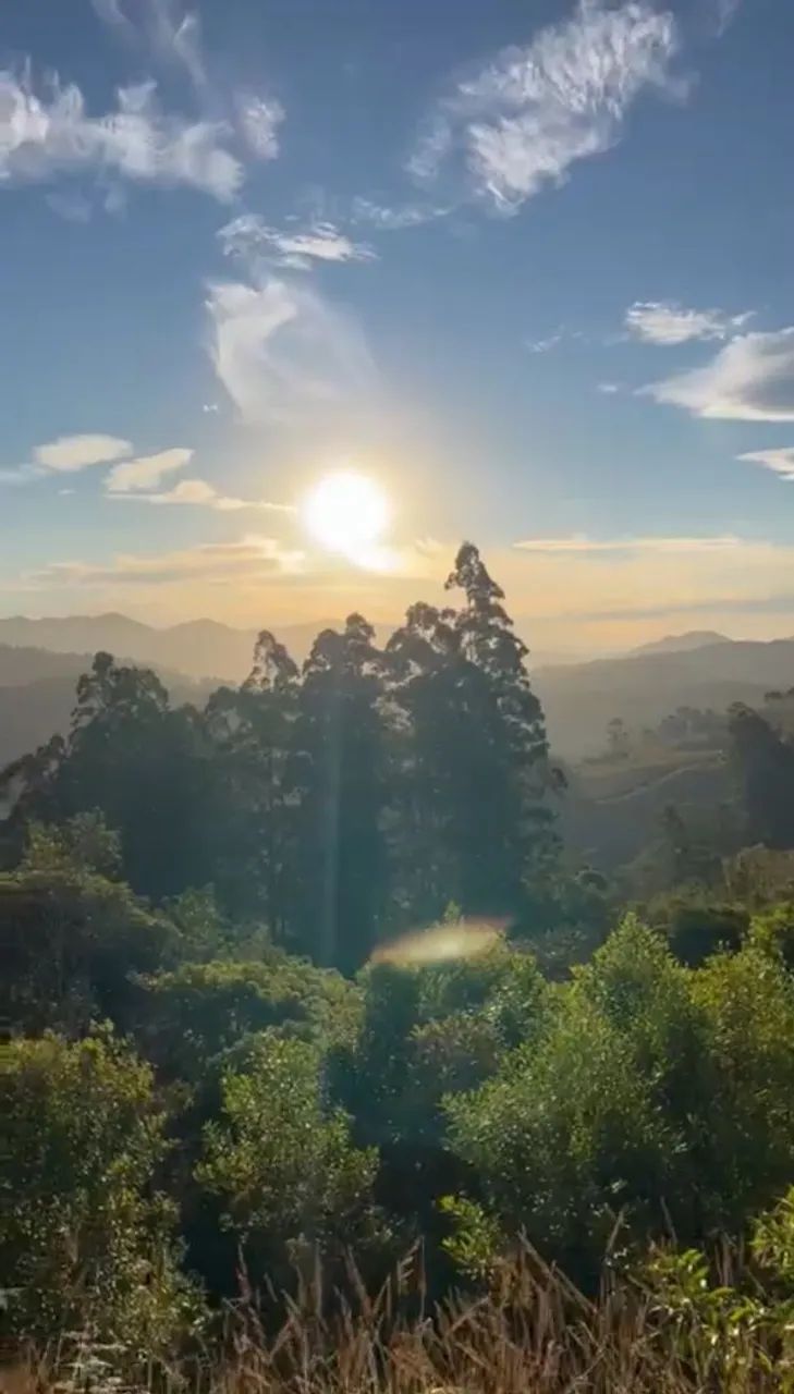 SÍTIO À VENDA - ALTO DO SERTÃO DO CANGUERI  - Foto 3