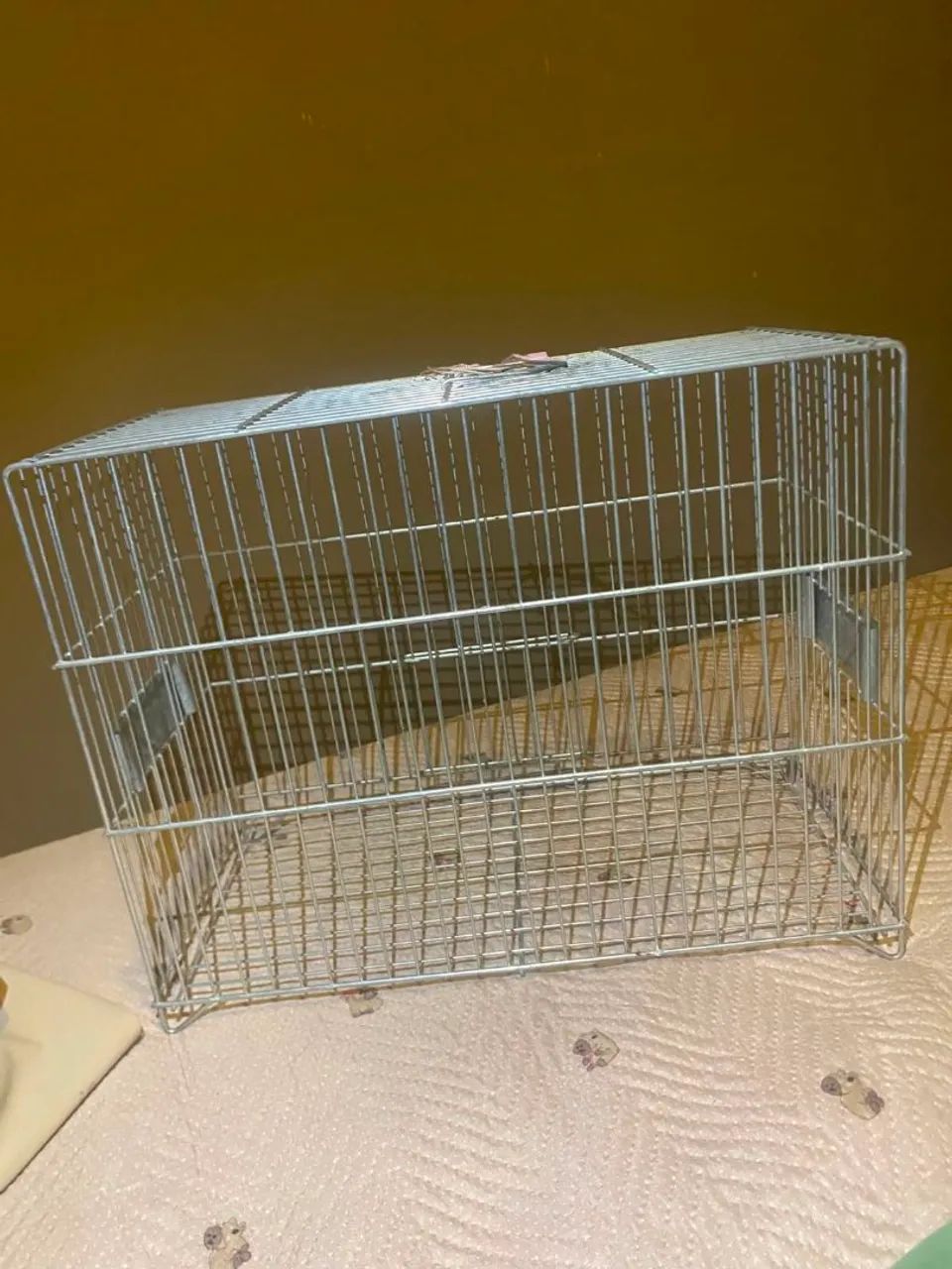 GAIOLA  - Foto 3