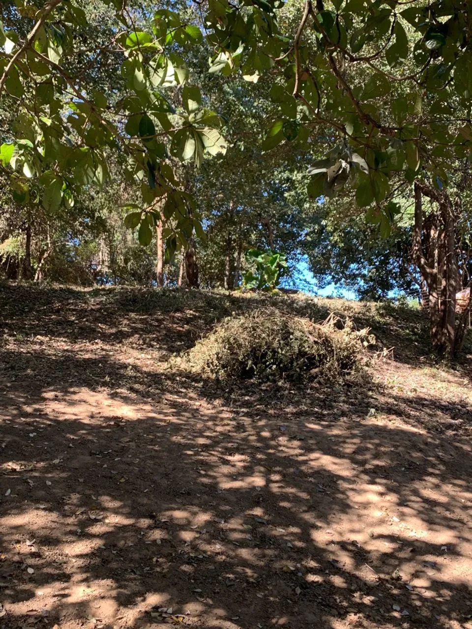 Vendo lote rancho . - Foto 5