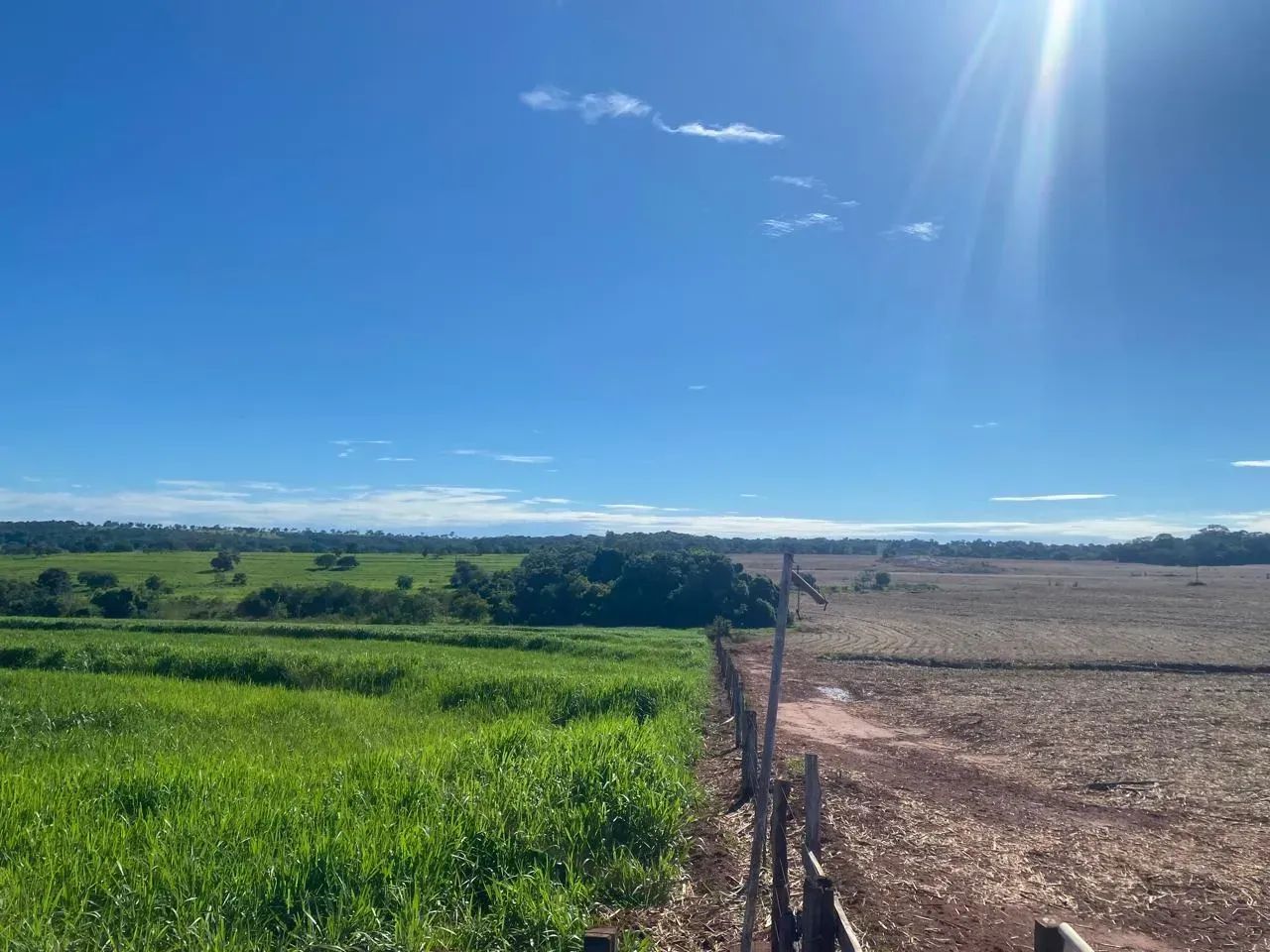 FAZENDA À VENDA  APARECIDA DO TABUADO/MS - Foto 4