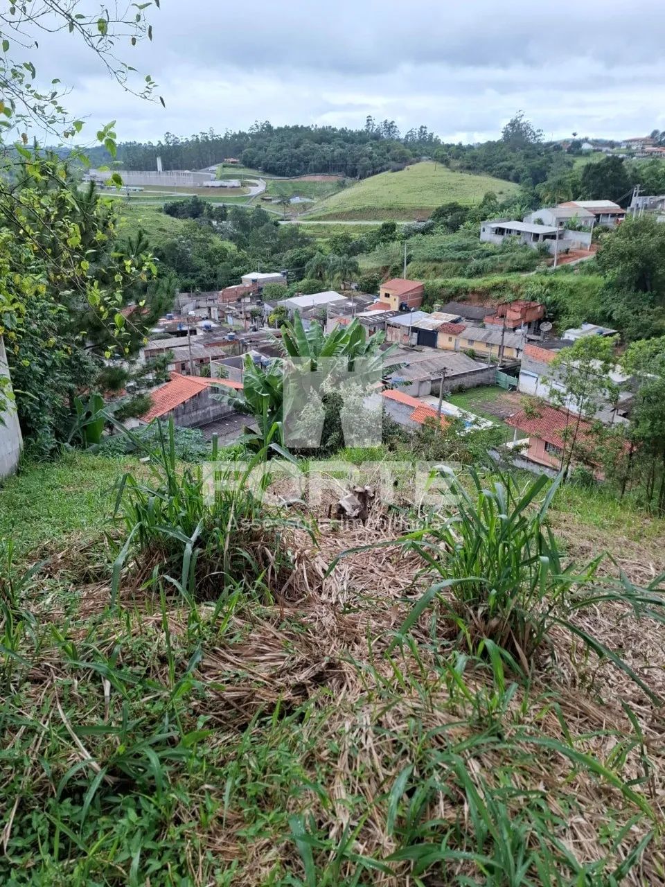 VENDO EXCELENTE TERRENO EM SANTA ISABEL - Foto 4