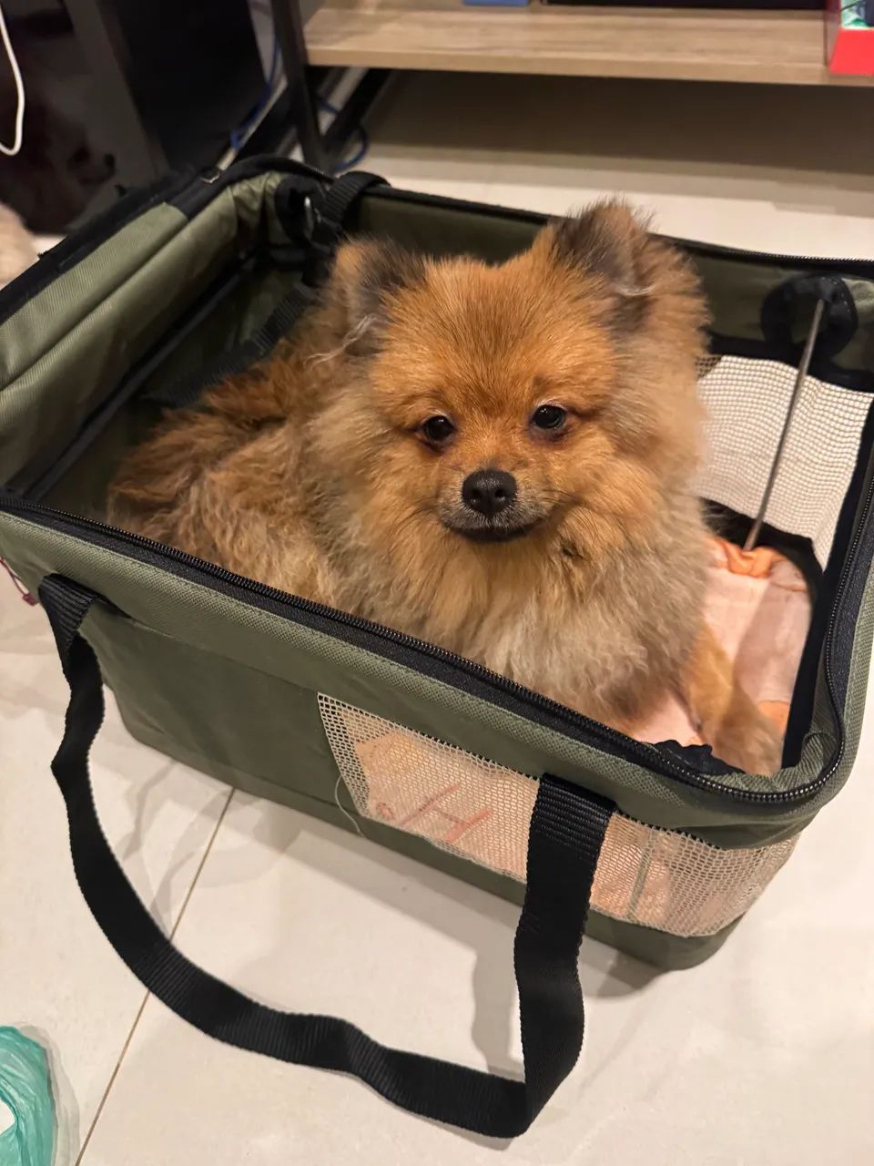 Bolsa transporte pet - Foto 3