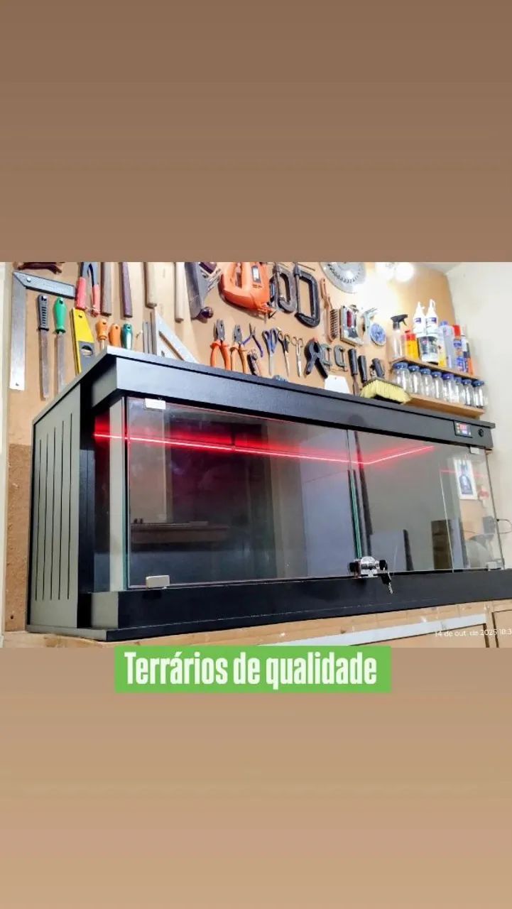 Terrários  - Foto 4