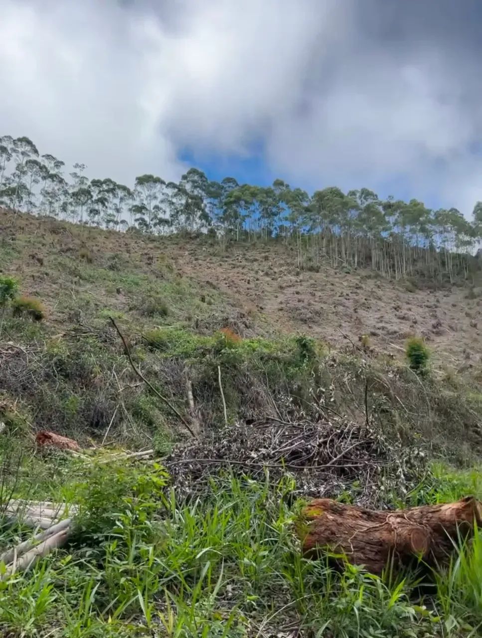 ÁREA RURAL - NOVA FRIBURGO - Foto 2