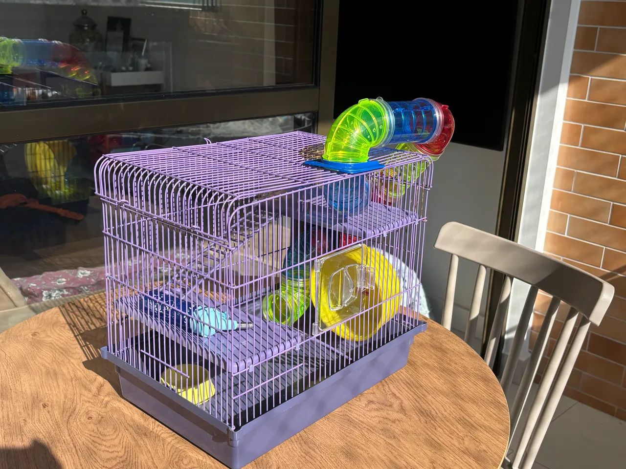 Casa hamster - Foto 5