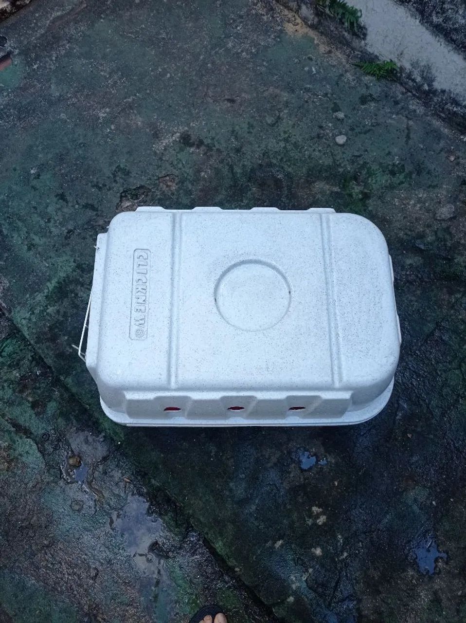 Casinha para transportar animais  - Foto 3