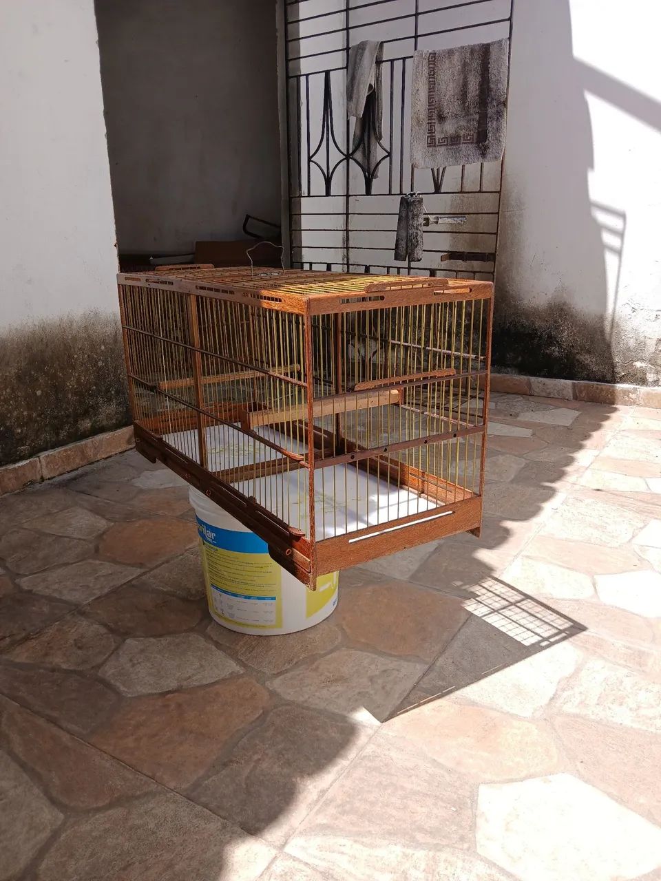 Voador 