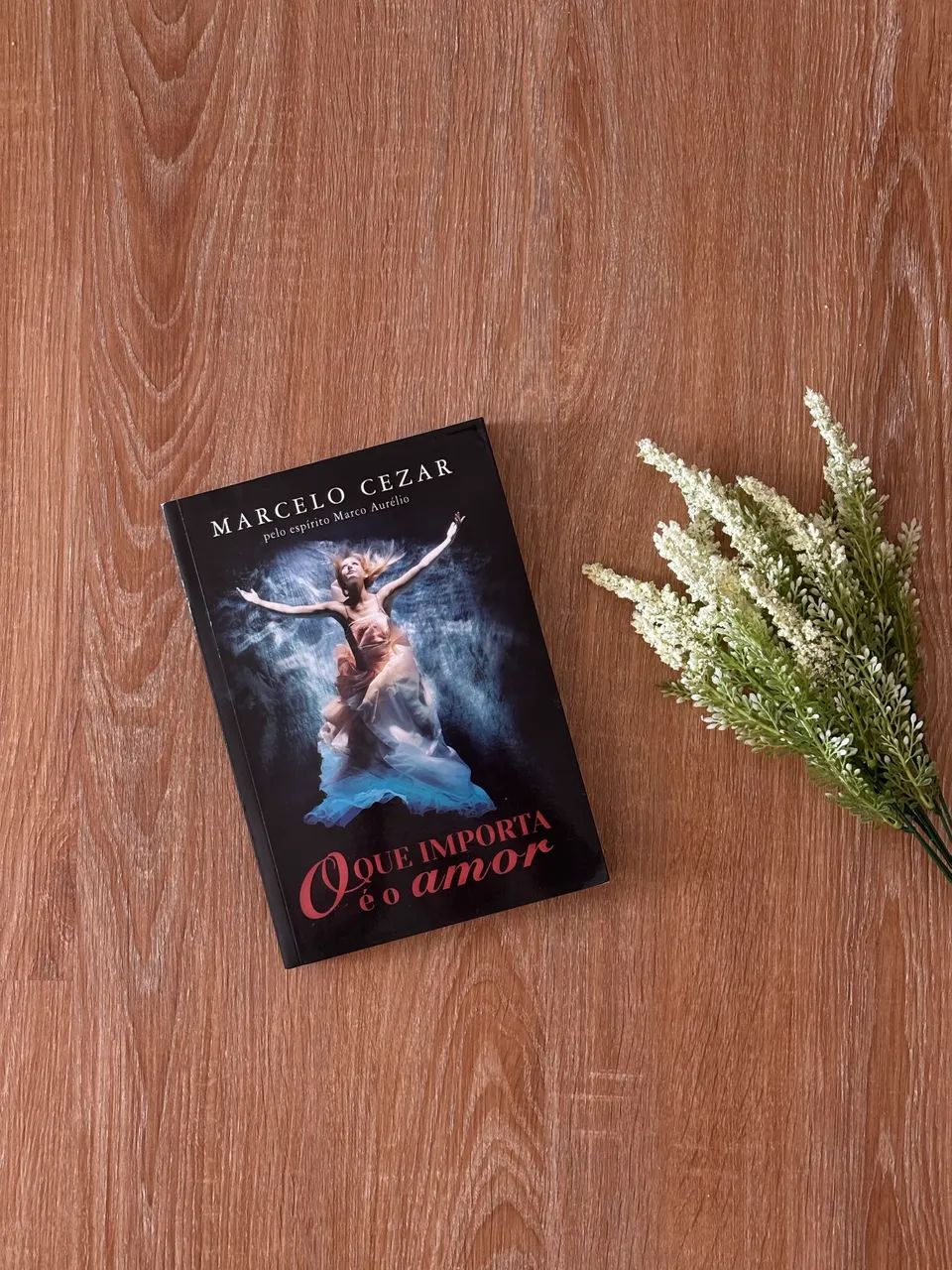 Livro: O Que Importa é o Amor 