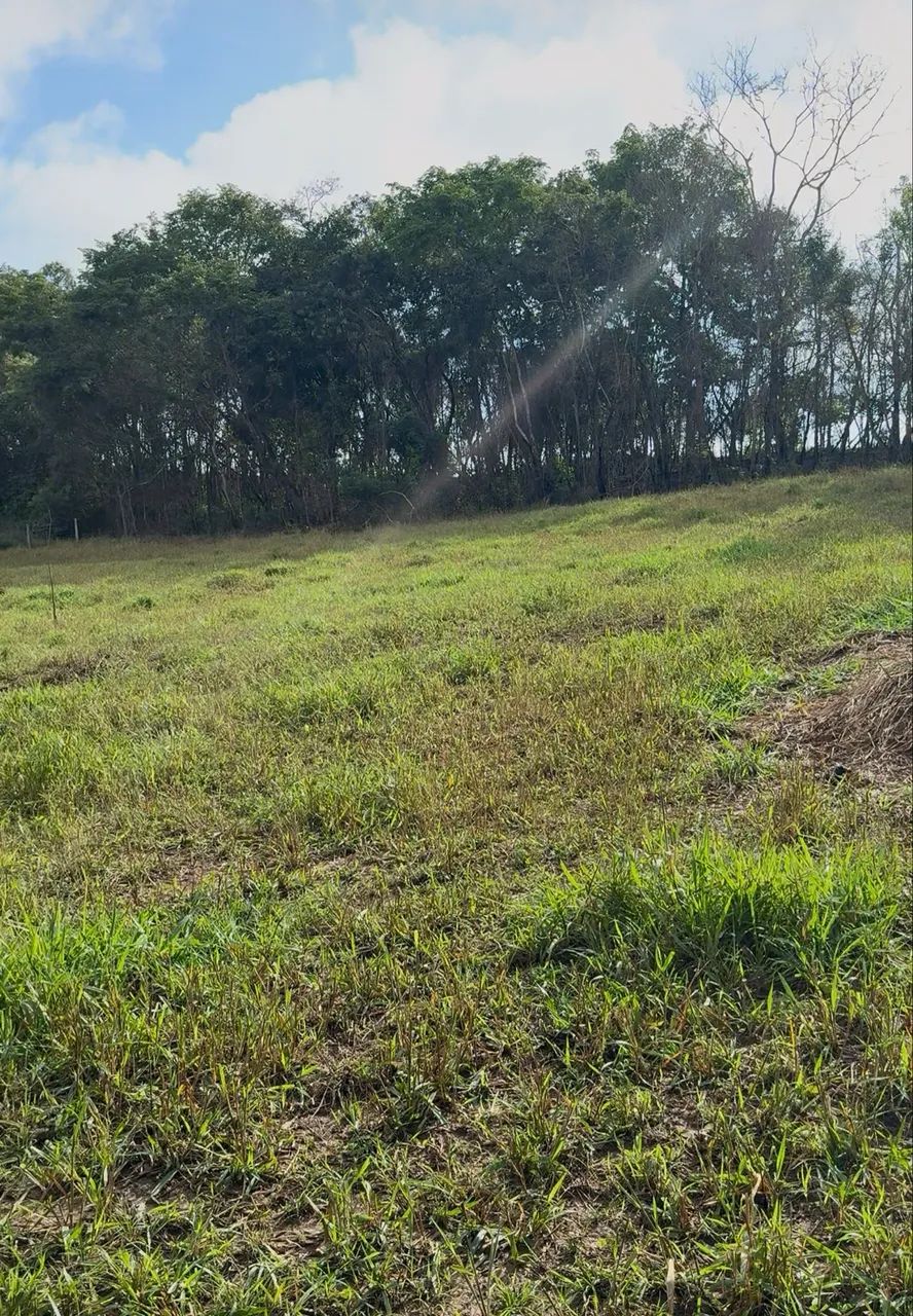 Chácara na beira do Rio Uru em Itaberaí  - Foto 5