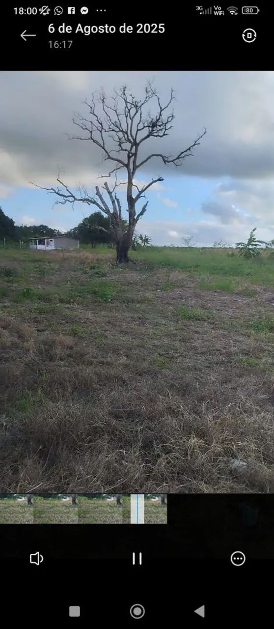 Vende-se terreno em limoeiro de Anadia  - Foto 3