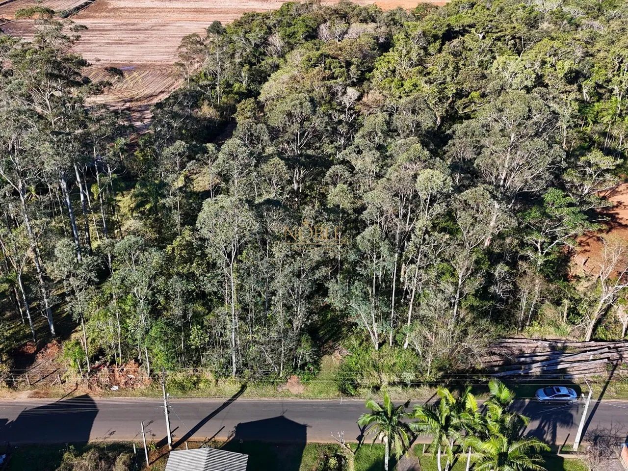 Terreno Amplo com 1.344 m²  Vila Mirim, Praia Grande/SC - Foto 2