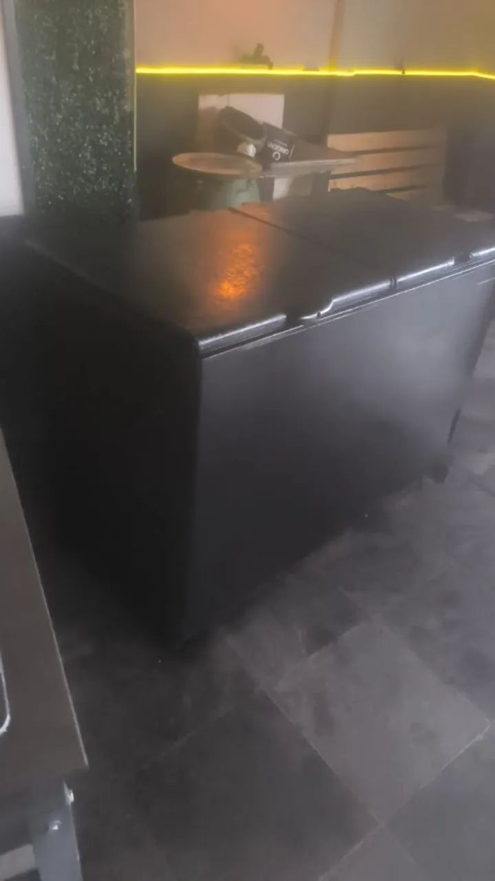 Freezer horizontal 2 porta 