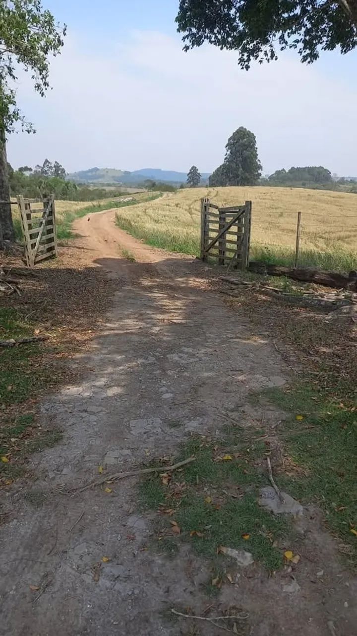 Sítio em Ortigueira - Foto 4