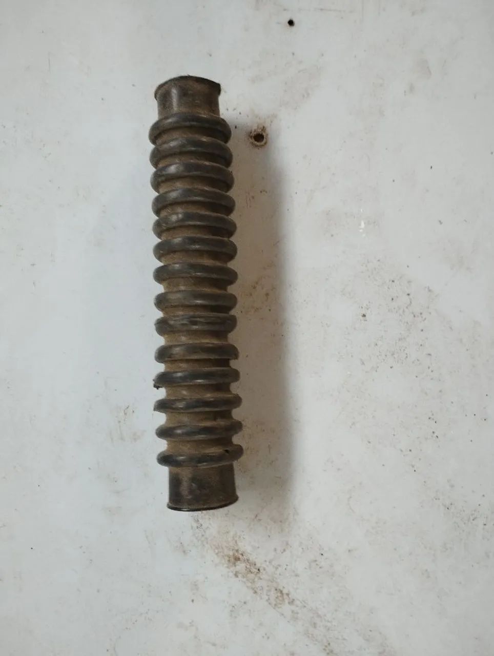 Sanfona berlinda original e manete tigrão original 