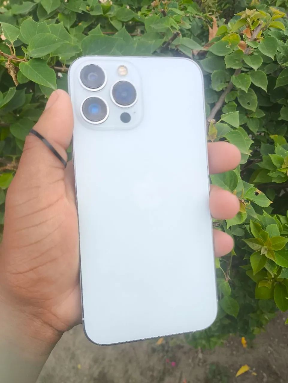 iPhone 13 pro max 