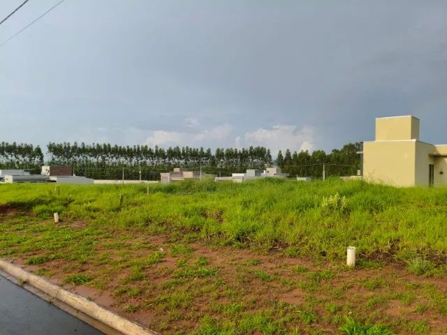Foto - Piratininga - 