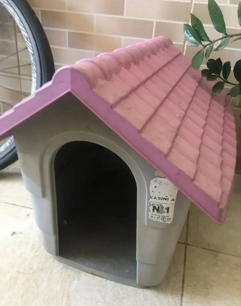 CASINHA CACHORRO 