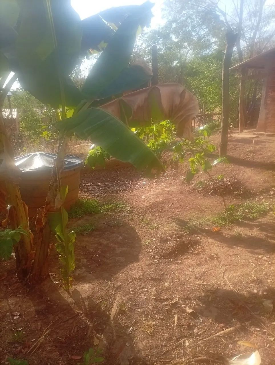 Vendo lote na invasão  - Foto 2