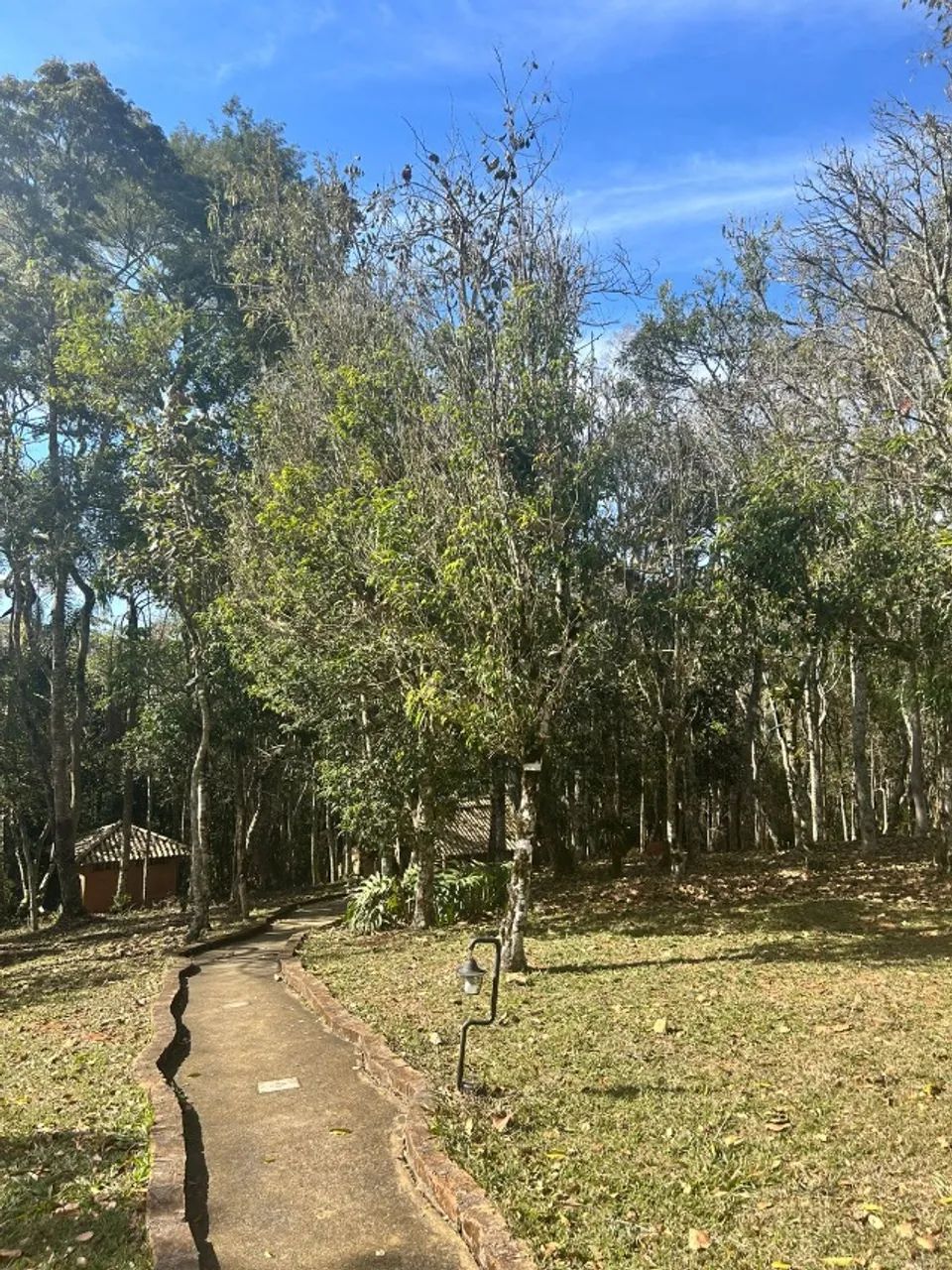 Sítio em Santo Antonio do Pinhal com 11 mil metros. - Foto 2