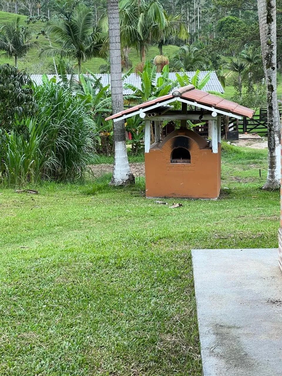 FAZENDA À VENDA EM TIJUCAS - 66 HECTARES  - Foto 3