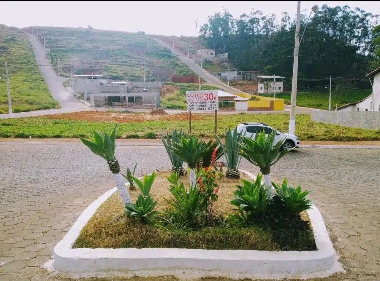 LOTE  - Foto 2