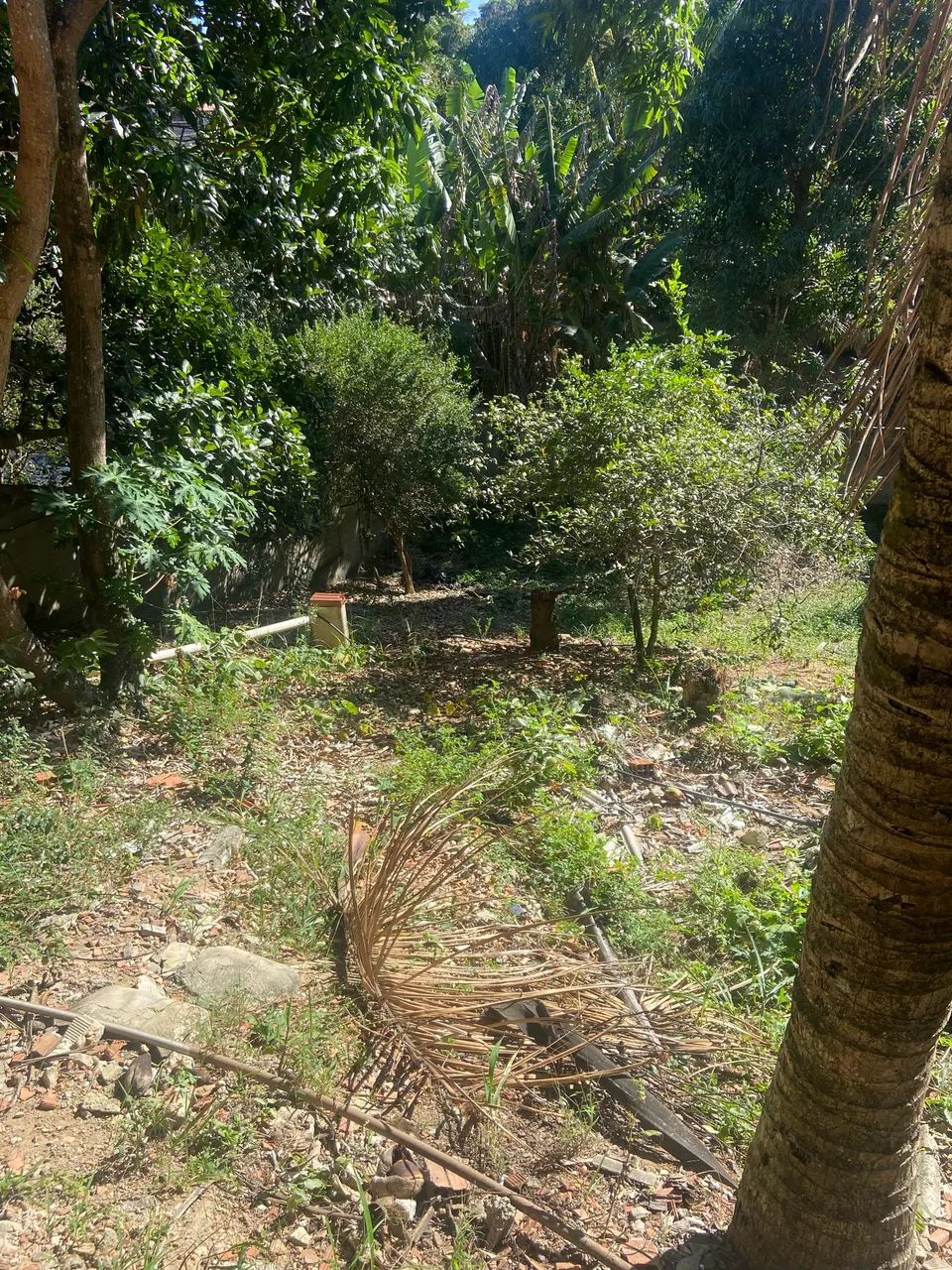 Terreno em balneário ponta da fruta - Foto 5