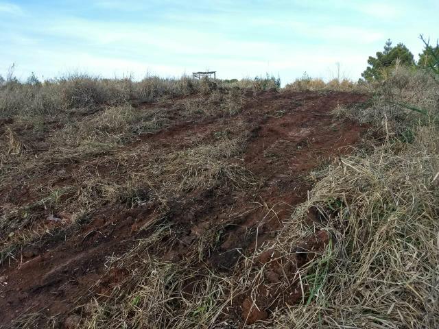 Fazenda para plantio - Foto 12
