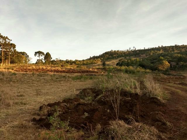 Fazenda para plantio - Foto 15