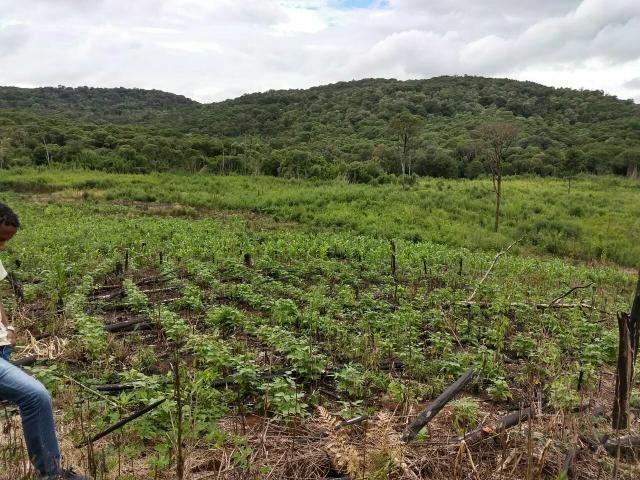 Fazenda para plantio - Foto 19