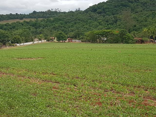 Chácaras em ibiporã, a partir de r$ 80.000,00 - Foto 2